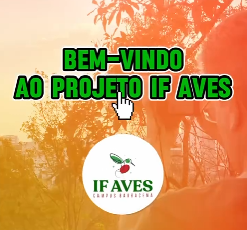 Video Apresentação